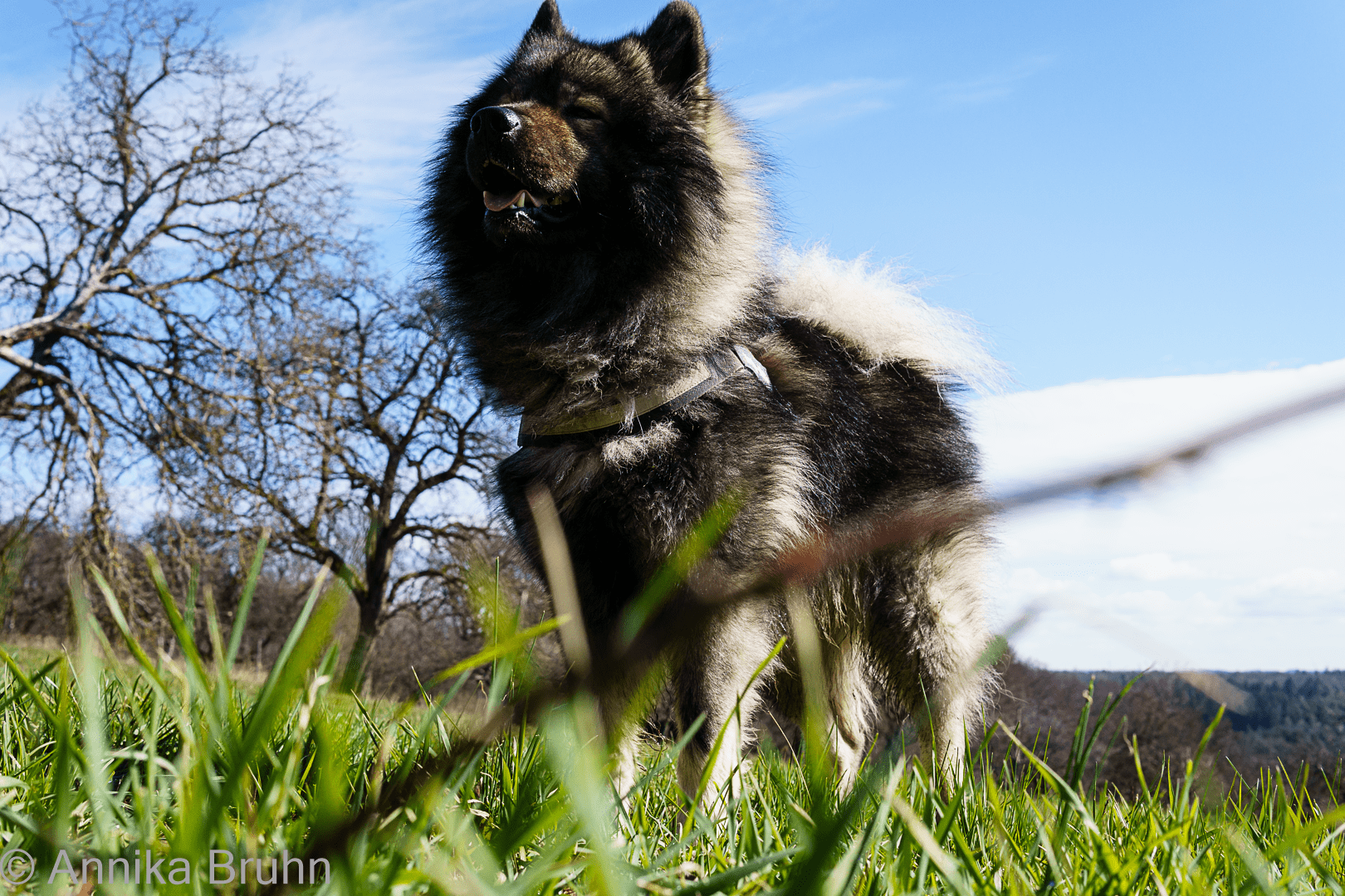 Q mal aus der Froschperspektive!